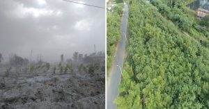 How a Scientist Is Growing Bamboo Forests To Heal Maharashtra’s Villages Choked by Toxic Ash
