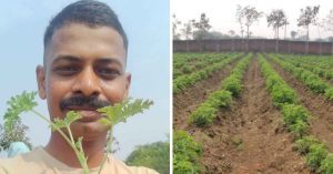 Engineer-Turned-Farmer Brings Geranium Farming to Chhattisgarh, Uplifting Villages with Eco-Friendly Innovations