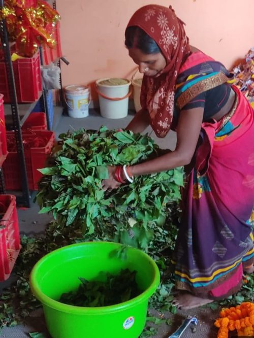 From farming to floriculture, JH-RESET is opening clean, profitable livelihood options for mining communities.