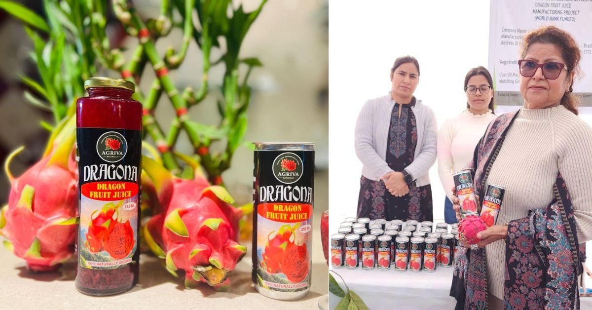 Reeva's venture extends beyond farming: processing dragon fruits for higher revenue.