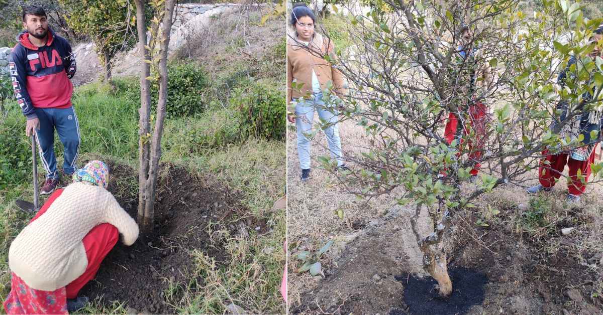 Her startup, EcoChar, not only improves soil fertility but also promotes sustainable farming.