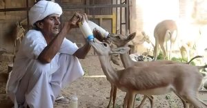 5 Indian Villages That Prove Humans and Wildlife Can Truly Coexist