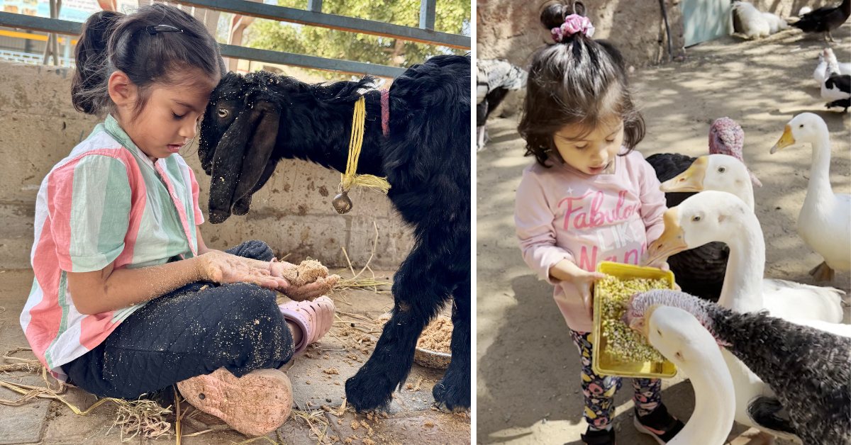 wildlife rescue india