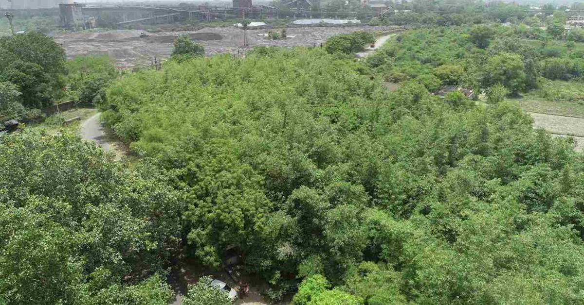 The Eco-Rejuvenation Technology is an eco-friendly, cost-effective solution developed by CSIR-NEERI (Council of Scientific and Industrial Research – National Environmental Engineering Research Institute).