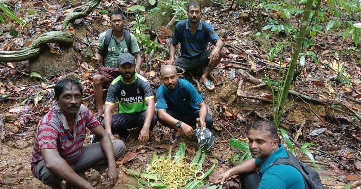 Joint patrolling teams helped remove 800+ nylon traps from forest interiors, where hunting once went unchecked.
