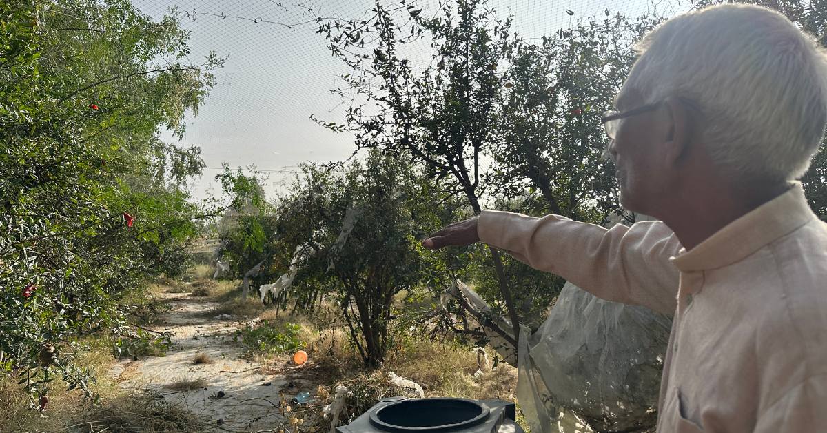 Ramesh Meena from Jhunjhunu adopted Sundaram’s method and grew 200+ trees in a dry region — without extra water.