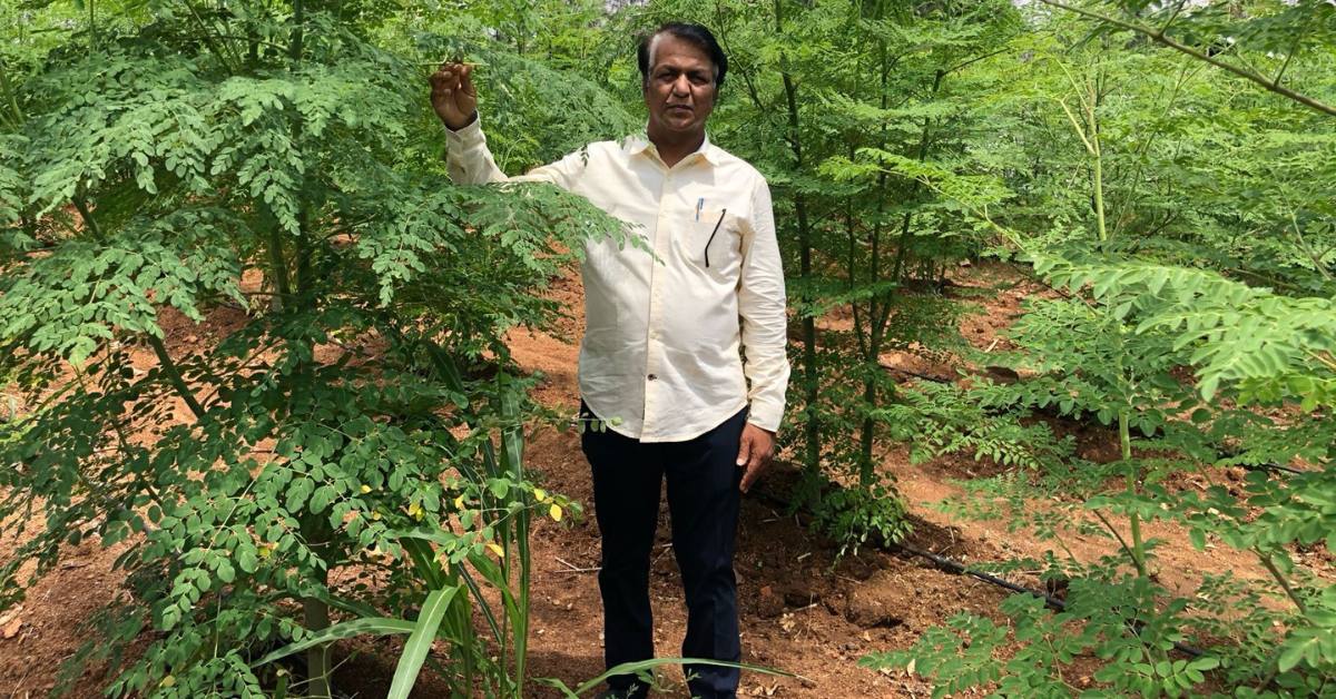 Early batches of moringa powder were distributed free to nearby villages to fight malnutrition.