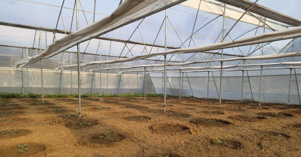 Awareness sessions helped farmers understand loans, credits, and solar-powered irrigation benefits.