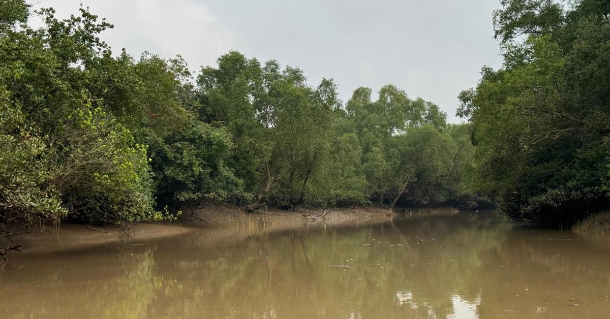 Villagers in Odisha plan futures rooted in their land, from restoring mangroves to reviving traditional crops.