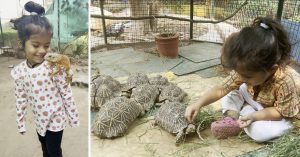 Watch: 4-YO Ahmedabad Girl Fearlessly Rescues Snakes, Turtles, Rabbits & More!