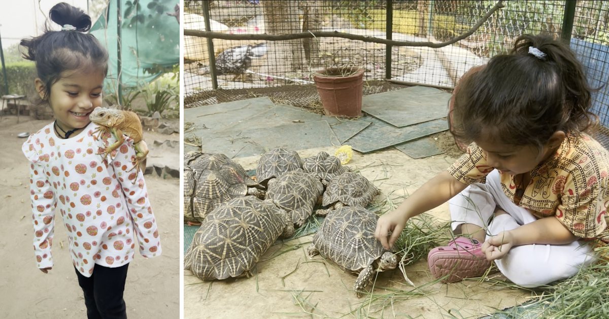 Watch: 4-YO Ahmedabad Girl Fearlessly Rescues Snakes, Turtles, Rabbits & More!
