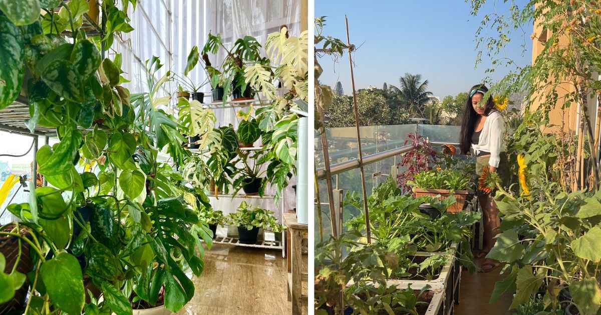 Aditi believes that maintaining a home garden in shifting seasons needs a careful understanding of rain direction, sunlight and wind speed