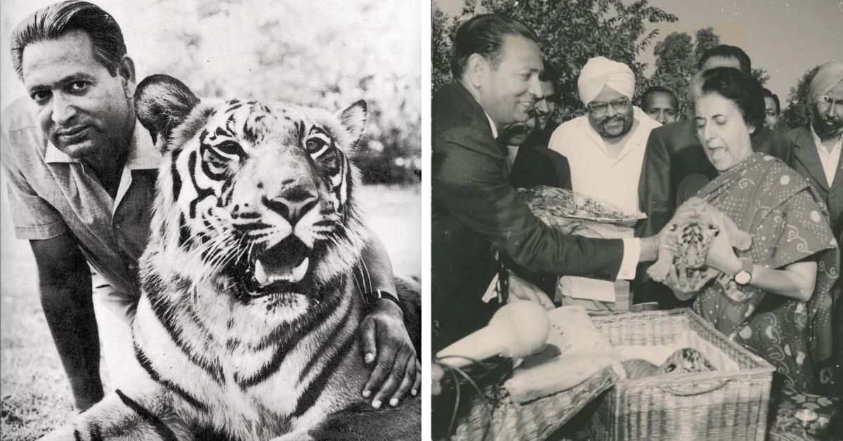 Kailash Sankhala was chosen by Shrimati Indira Gandhi, to head Project Tiger initiative in 1973