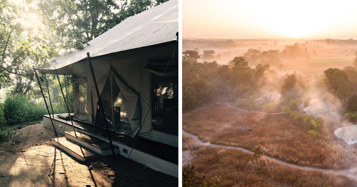 Every May Jamtara Wilderness Camp folds back into its existence, allowing the jungle to take over 