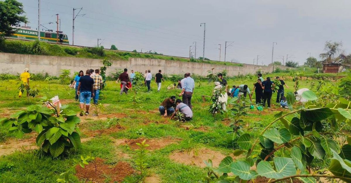 Over 3,000 trees now grow on the site, which has become a habitat for local wildlife and a recreational area for residents.
