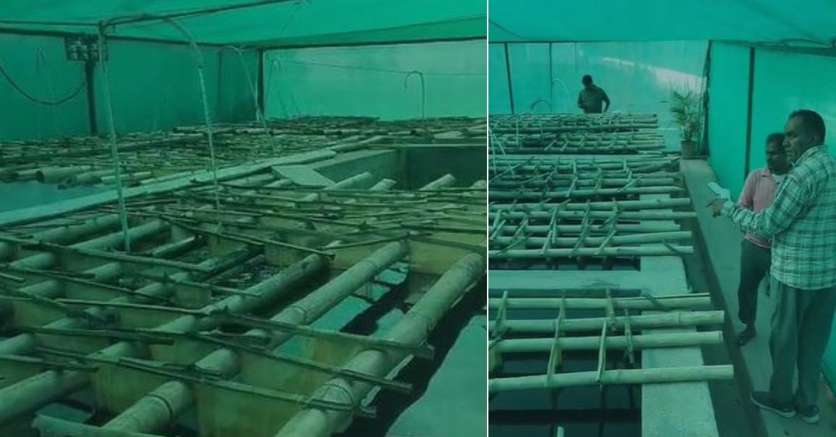 The duo has trained over 200 locals in pearl farming.