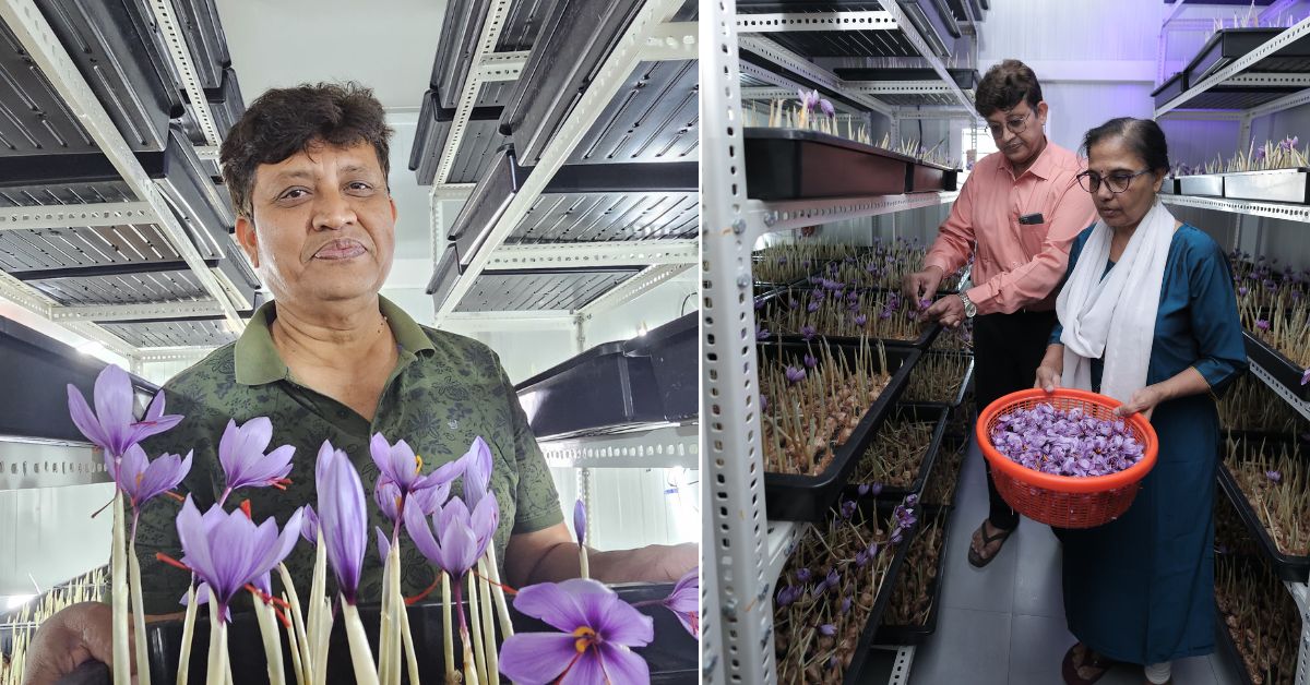The couple manages farm operations, from nurturing the bulbs to precise environmental control.