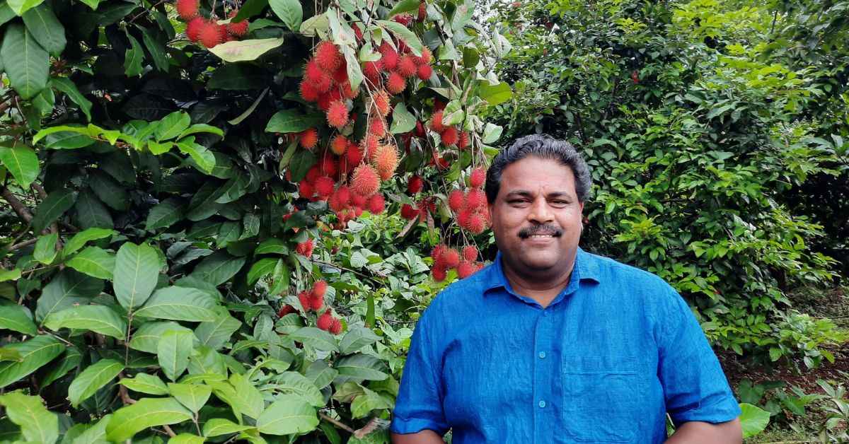 Biju opted for high-density plantations and multi-crops to maximise returns from land.