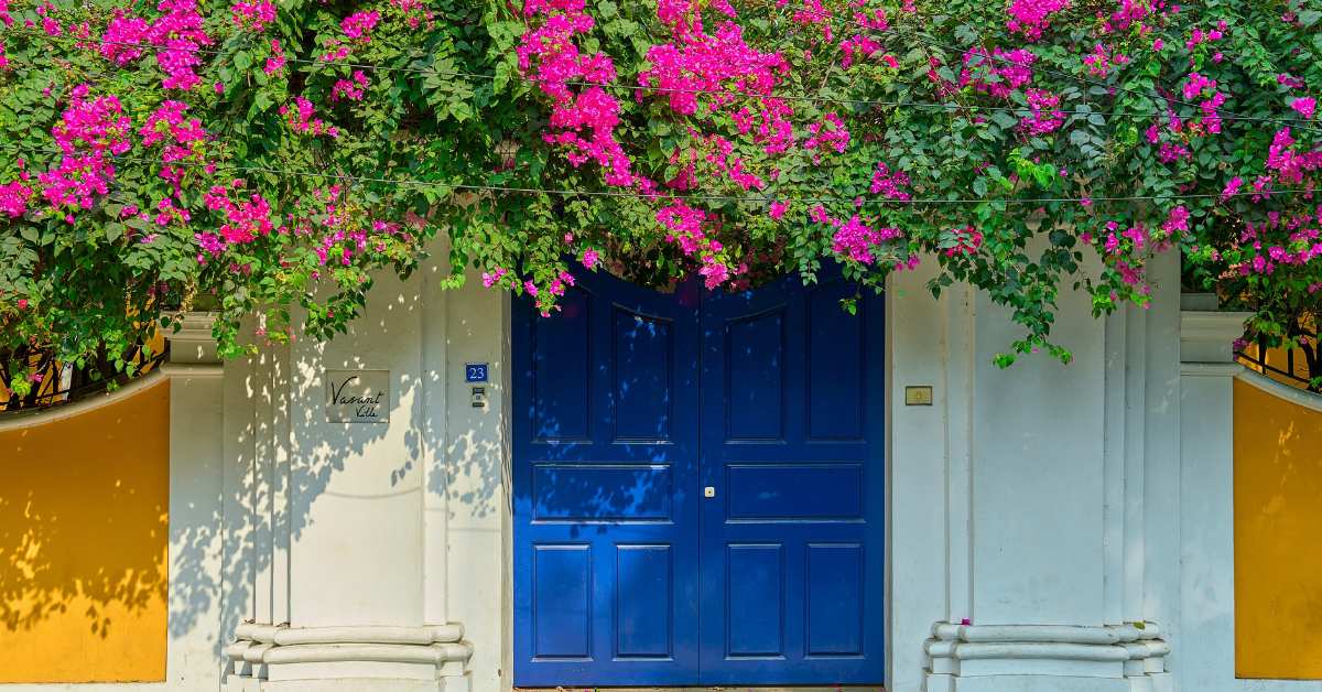 You do not need a luxury resort or a first-class ticket to fall in love with Puducherry
