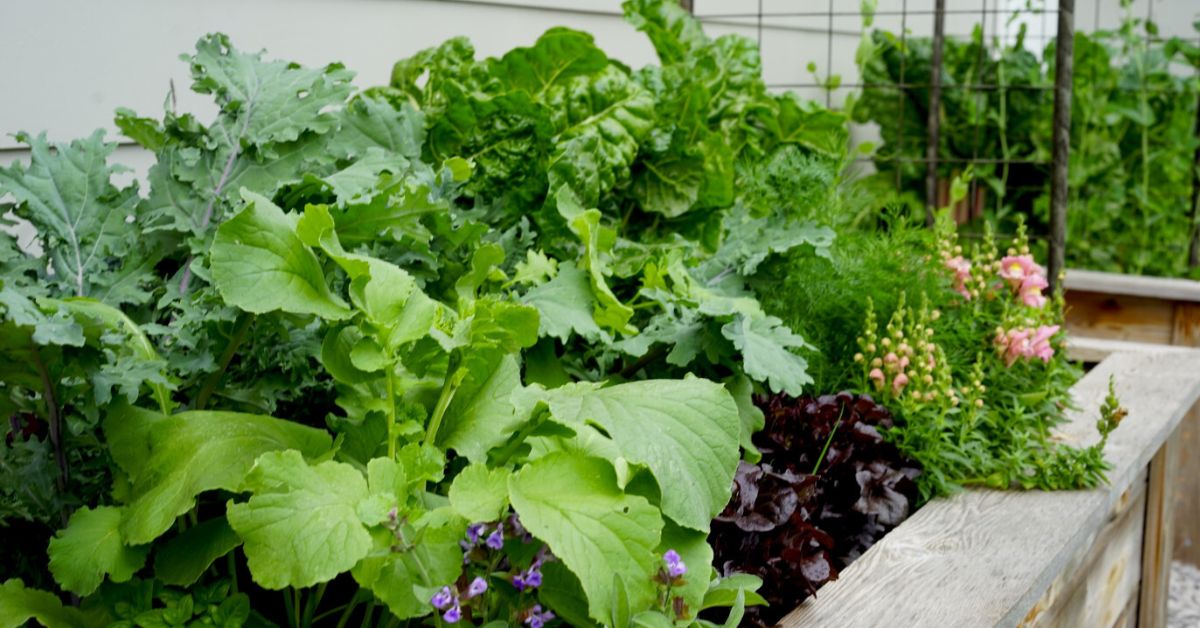 Guide to Planting Vegetables Evenly: Expert Tips for Perfect Rows