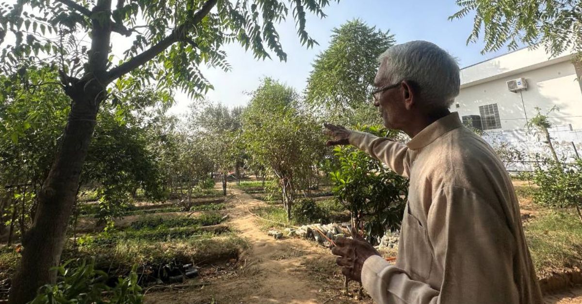 Sundaram's one-litre water method relies on deep ploughing during the monsoon to trap soil moisture for months without irrigation