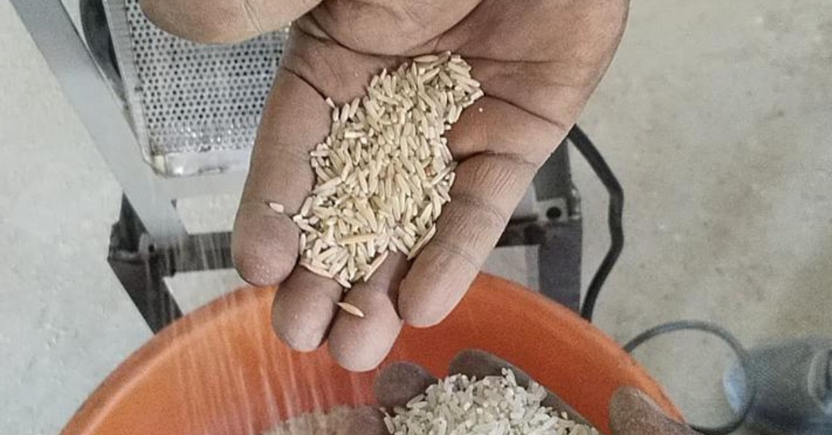 With the SEMA Rice Mills, the rice recovery rate has risen between 320 and 350 kilograms per 500 kilograms of paddy