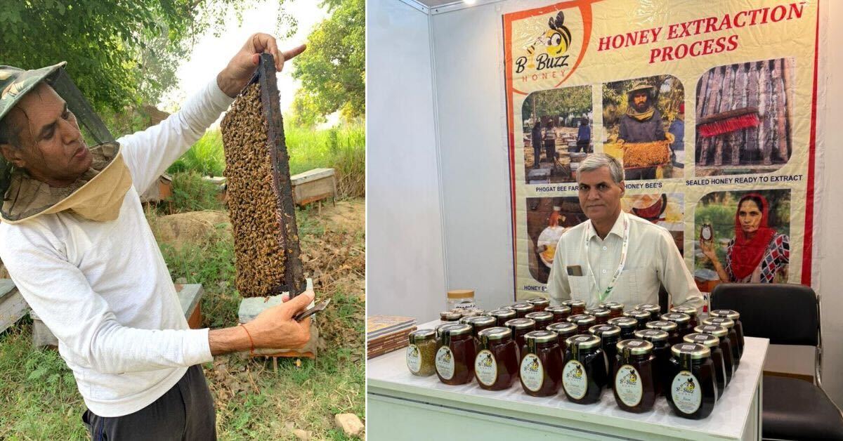 Beekeeping requires a one-time investment and provides yields year after year.