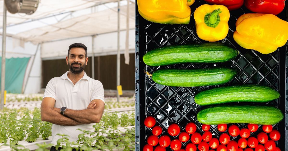 Pritpal Singh runs a successful commercial hydroponic farm and also supports others through his startup, ‘Farmcult’