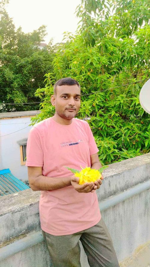 One of the native varieties Bholewar successfully germinated is Sonchafa (Golden Champa / Fragrant Champa)
