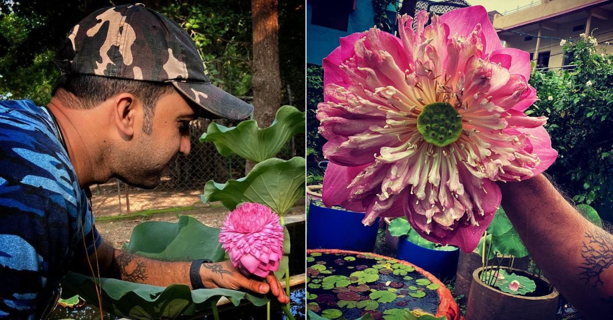This Engineer Grew a Garden With a Rs 2.5 Lakh Mango, 1,000-Petal Lotus & 400 Rare Plants