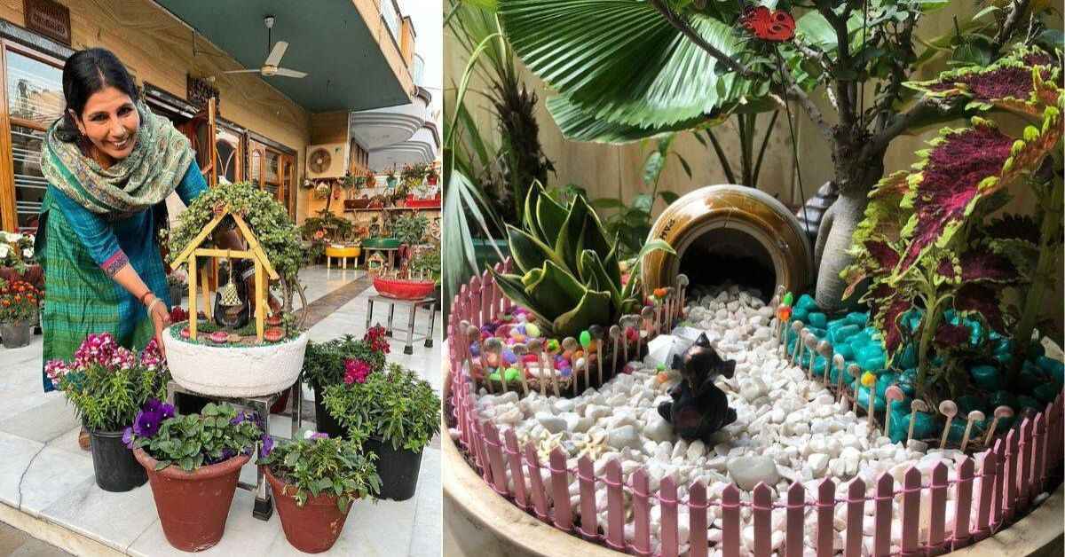 Faridabad Woman Creates Mini Jungle at Home with 1000 Tray Plants