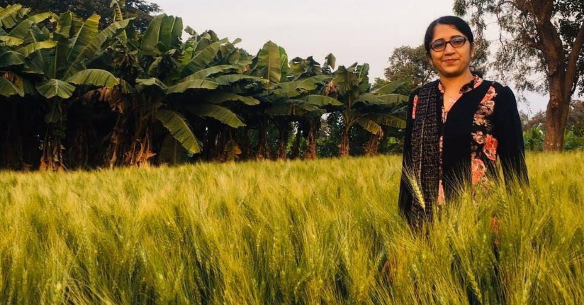 A Daughter’s Love Revived Khapli Wheat in Jalgaon, Expanding to 1500 Acres & Lakhs in Earnings