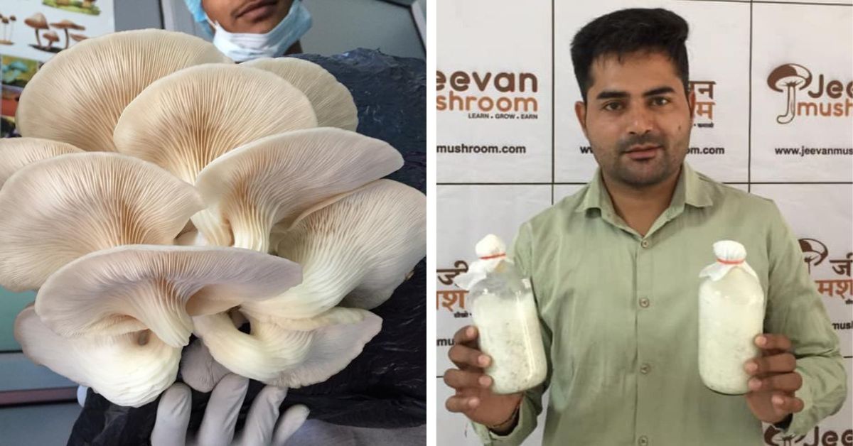 MBA Dropout Builds Rs 13L/Month Mushroom Startup in Rajasthan, Trains Farmers Across India