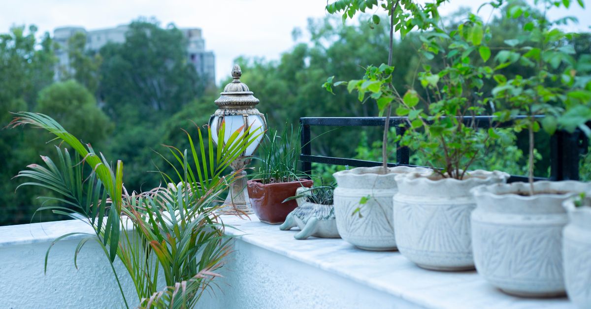 With a bit of planning, your forest can double as an edible garden.