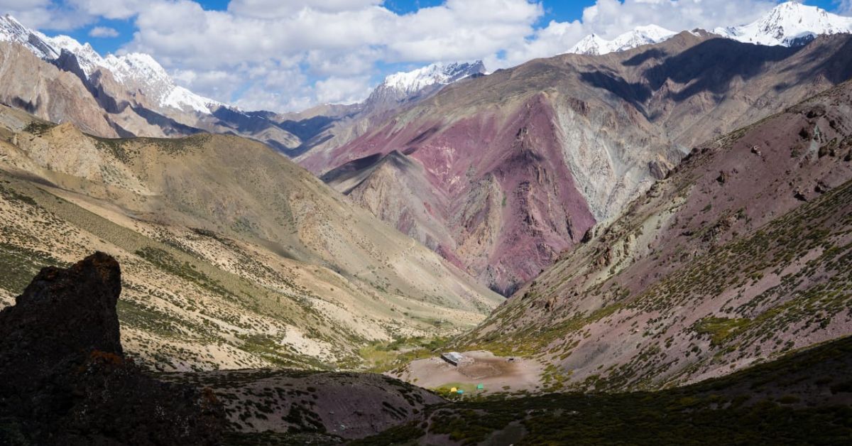 From 2000 onwards, the introduction of ecotourism, particularly in areas like the Hemis National Park, played a big part in preventing the snow leopard killings