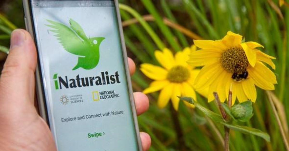 The app allows kids (with a parent’s supervision) to photograph plants, insects, animals or fungi they spot outdoors.