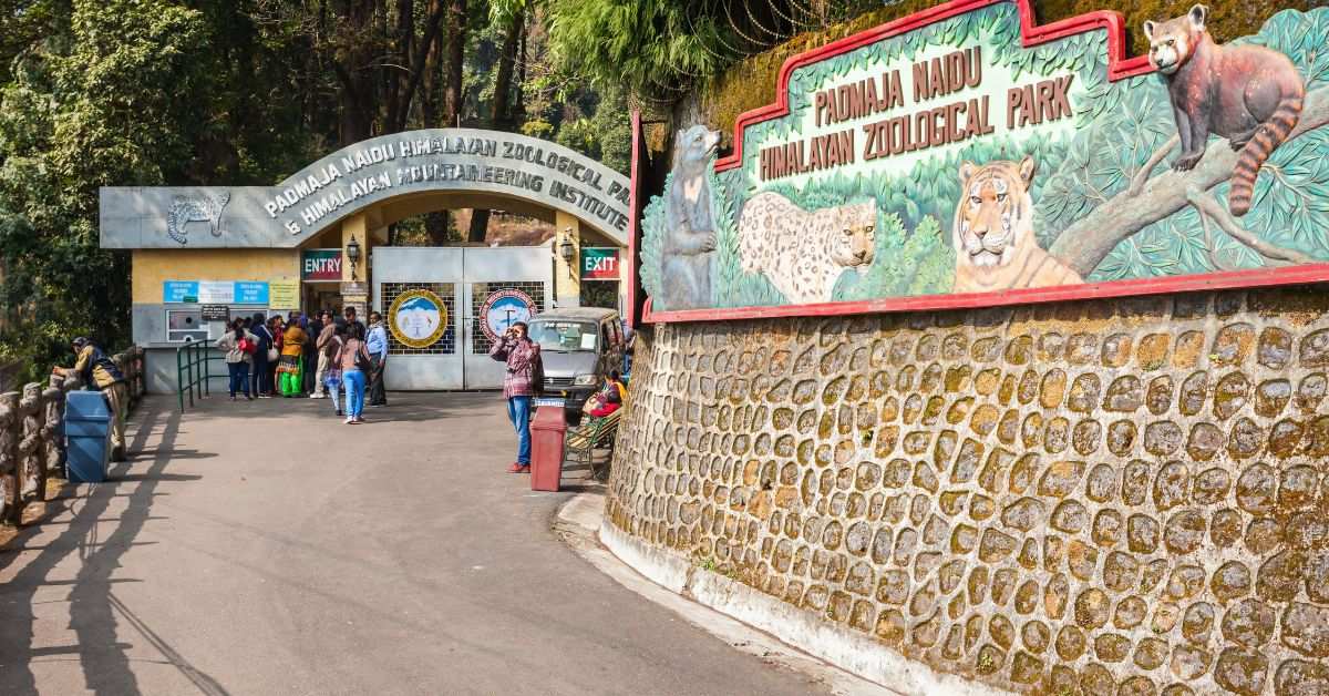 Kids can spot animals they’ve only seen in books at this zoo.
