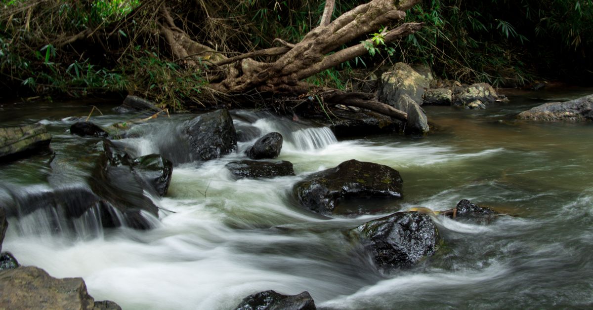 Start your day with a short trek up Manjarabad Fort, a fog-draped, star-shaped marvel.  Then head to Magajahalli Falls, where the water gushes fresh from the hills.