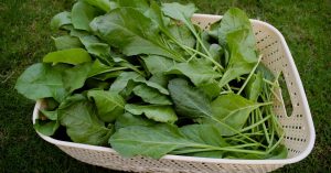 How To Turn Vegetable Peels And Stalks Into Snacks That Your Kids Will Enjoy