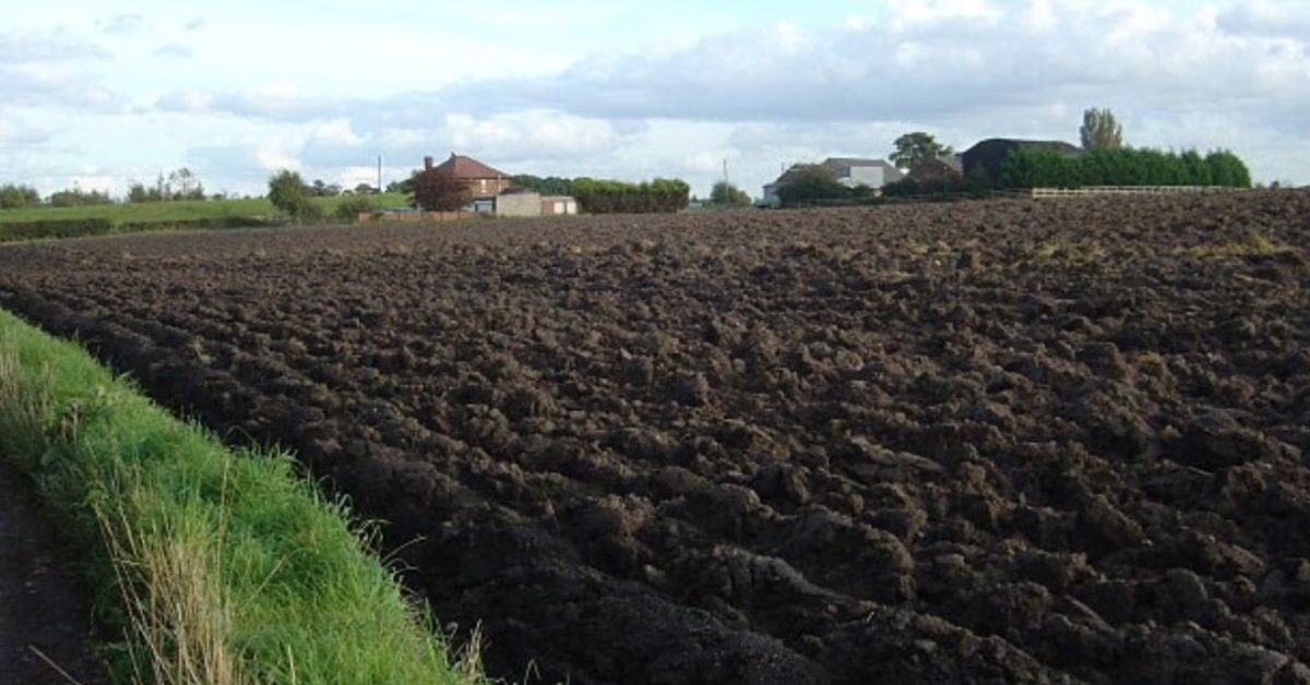 A fertile soil is essential for a good harvest.