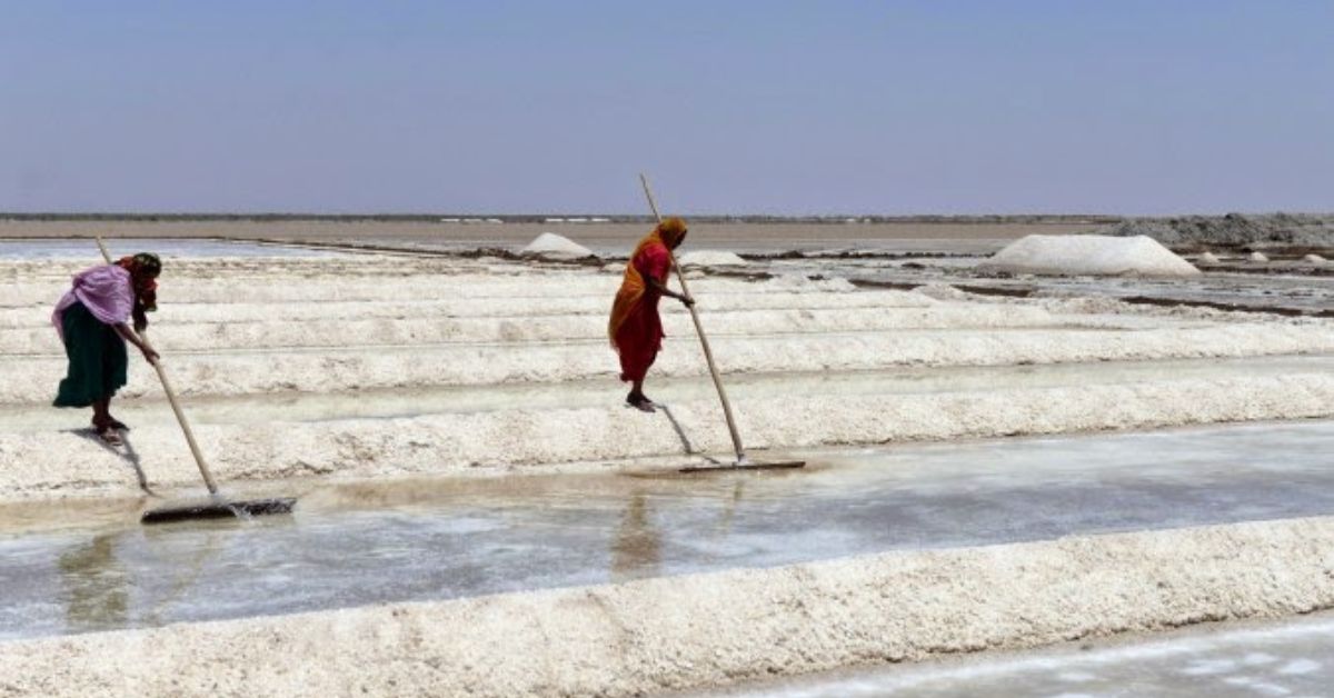 The salt ports of Calicut were quite popular in the ancient trade routes.