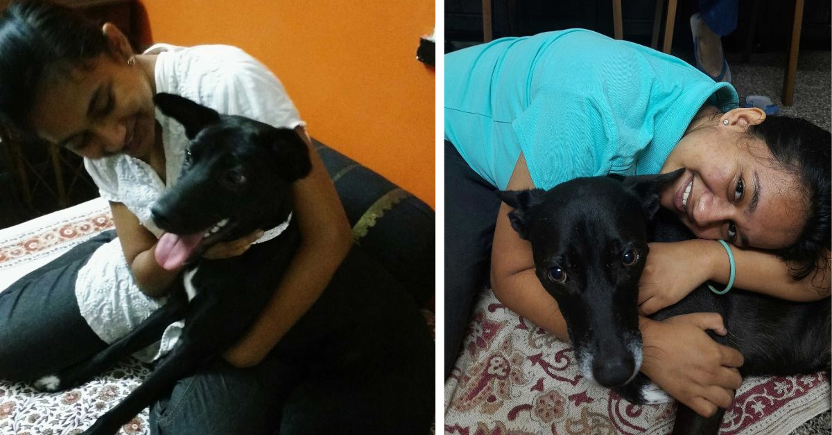 International Dog Day TBI pets