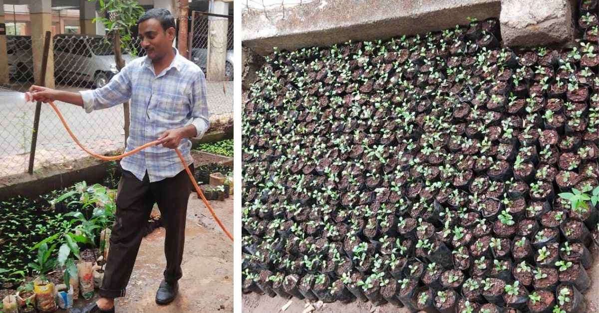 With the quiet support of his family and friends, Bholewar Palange has planted over one lakh saplings.