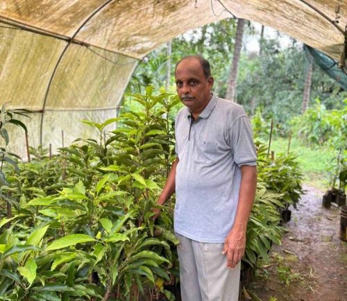 Sonchafa flower farming profits