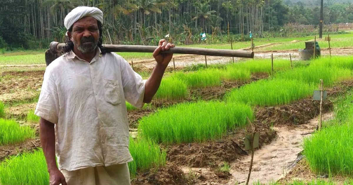 Cheruvayal Raman has spent almost all his life cultivating paddy through organic practices.