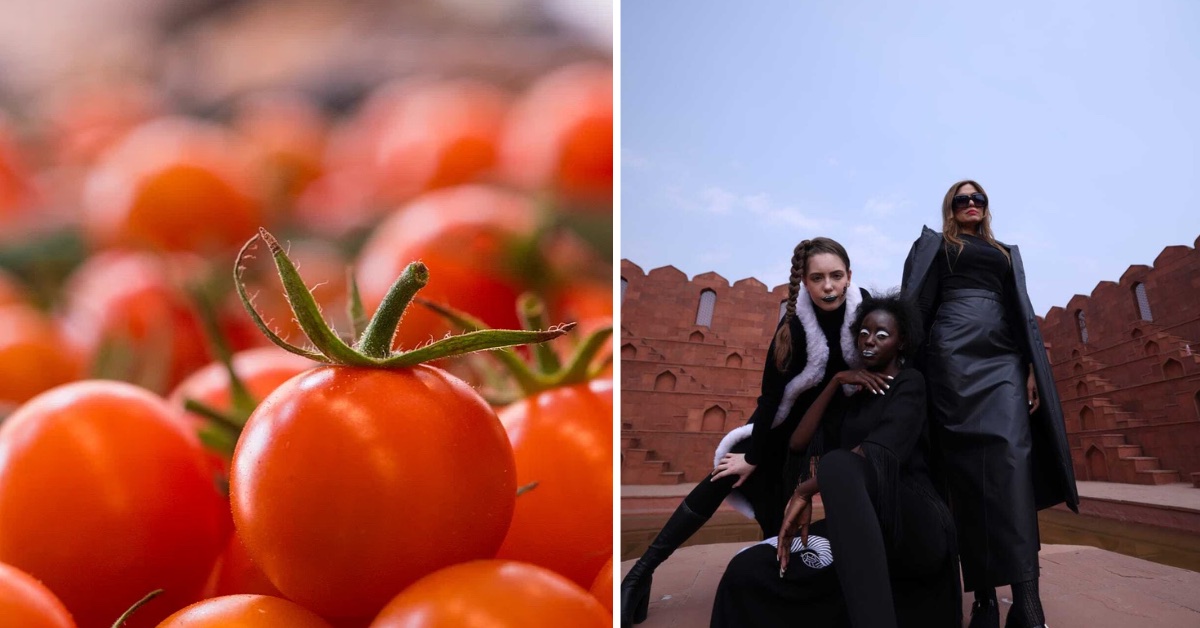 Tomato waste is transformed into Bioleather by The Bio Company, now used in fashion, bags, and footwear.