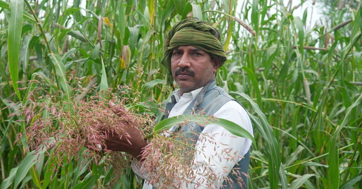 In rural Maharashtra, Pragati Abhiyan is reviving native millet farming to fight malnutrition and climate stress.
