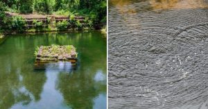 Why Does This 400-YO Goan Lake Bubble When You Clap? Scientists Are Still Baffled