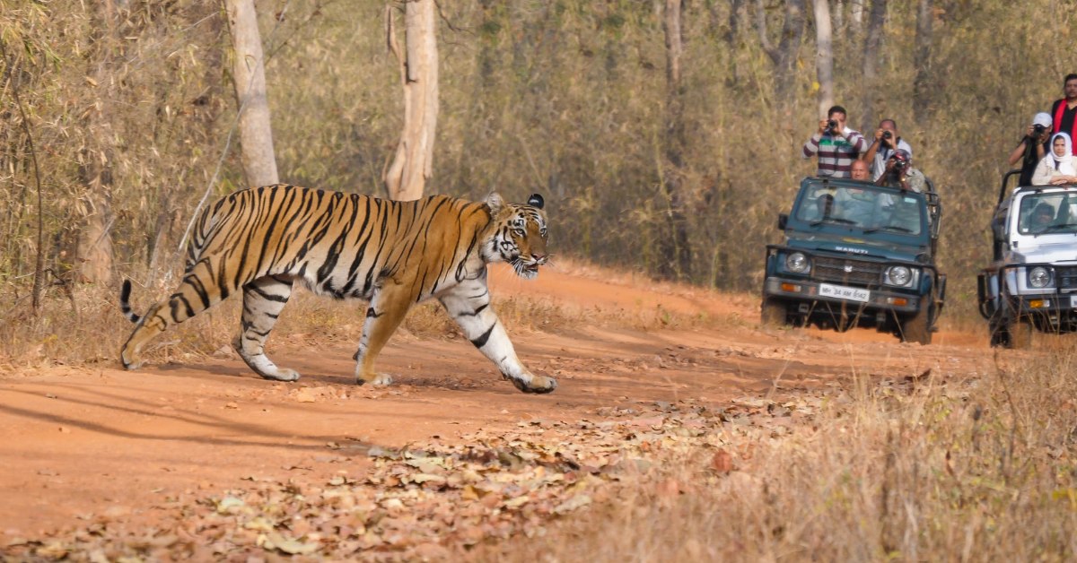 5 Wildlife Parks in India That Kids (and Parents) Will Love