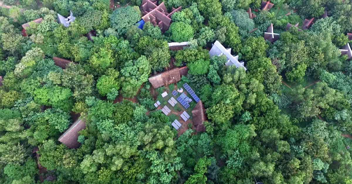 At Sadhana Forest, you'll have a chance to learn farming and the steps of reviving an actual forest.